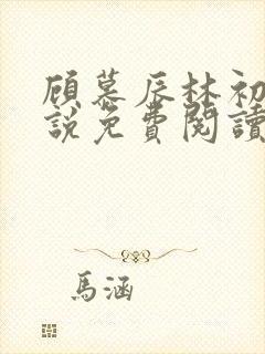 顾慕辰林初荔小说免费阅读最新章节