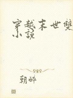 穿越末世双男主小说