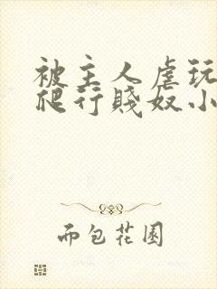 被主人虐玩调教爬行贱奴小说