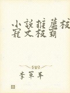 小说推荐校园甜宠文校霸