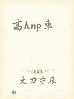 高hnp车