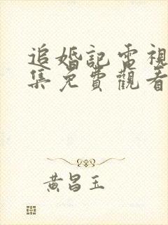 追婚记电视剧全集免费观看完整版