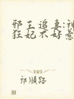 邪王追妻:神医狂妃不好惹