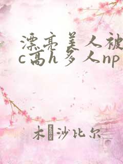 漂亮美人被迫挨c高h多人np小说