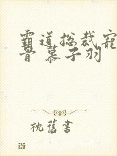 霸道总裁宠妻入骨 慕子羽