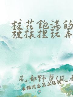 校花饱满的双乳被揉捏玩弄