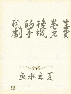 我的后半生电视剧手机免费观看