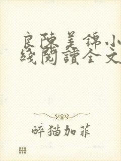 良陈美锦小说在线阅读全文