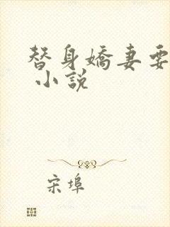 替身娇妻要离婚 小说