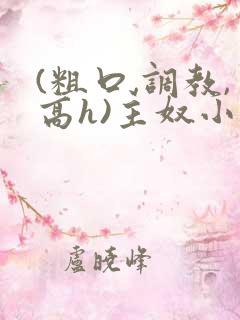 (粗口,调教,高h)主奴小说