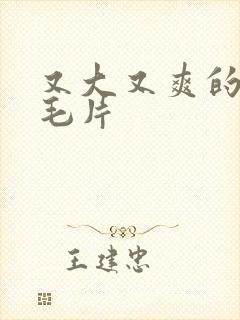 又大又爽的少妇毛片