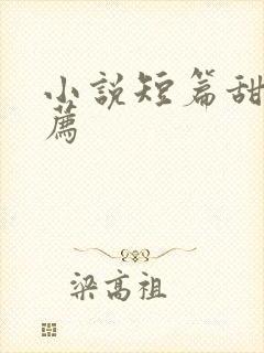 小说短篇甜宠推荐