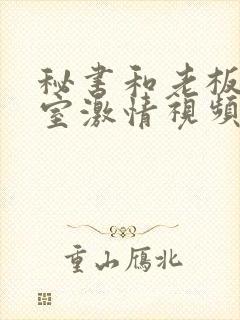 秘书和老板办公室激情视频