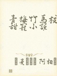 青梅竹马校霸的甜宠小说