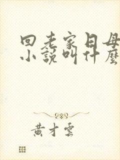 回老家日母原著小说叫什么名字