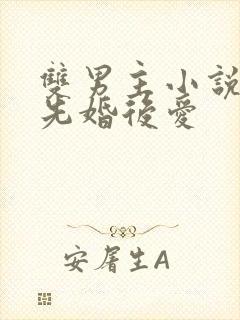 双男主小说推荐先婚后爱