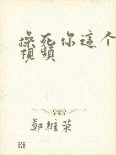 操死你这个骚货视频