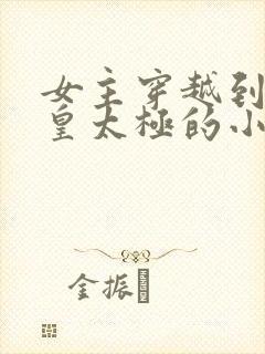 女主穿越到清初皇太极的小说