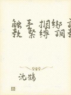 触手 捆绑 调教 紧缚 调教