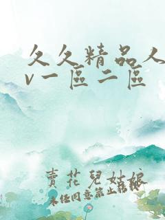 久久精品人妻av一区二区