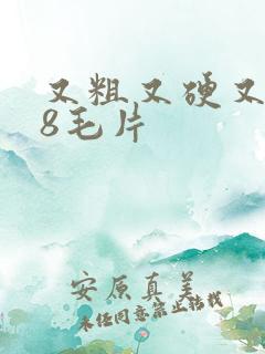 又粗又硬又爽18毛片