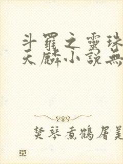 斗罗之灵珠神剑天麟小说无弹窗