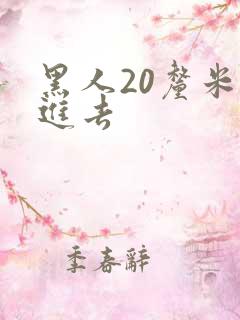 黑人20厘米放进去