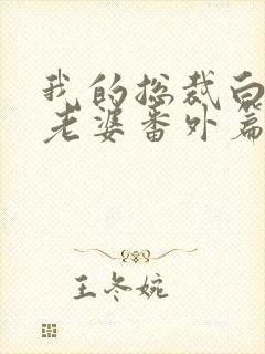 我的总裁白富美老婆番外篇