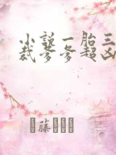 小说一胎三宝总裁爹爹超凶猛