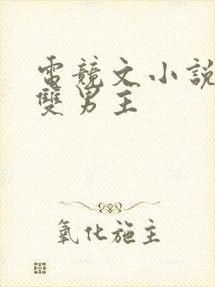 电竞文小说推荐双男主