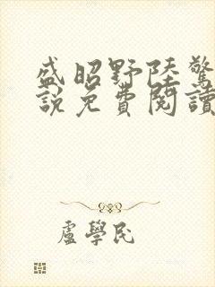 盛昭野陆惊棠小说免费阅读最新章节