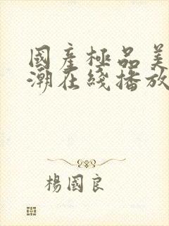 国产极品美女高潮在线播放