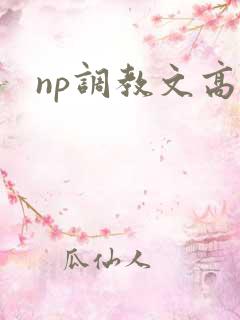 np调教文高h