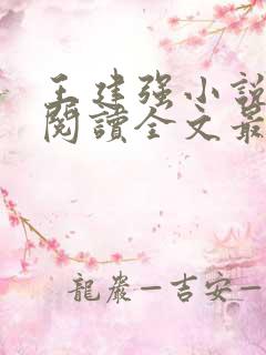 王建强小说免费阅读全文最新章节