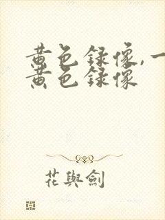 黄色录像,一级黄色录像