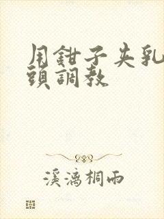 用钳子夹乳奴奶头调教