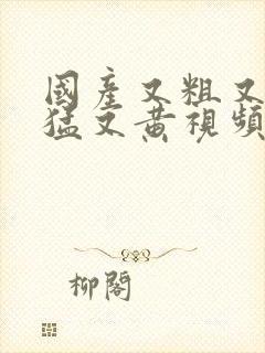 国产又粗又爽又猛又黄视频