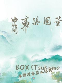 中高集团董事长简介