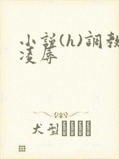 小说(h)调教凌辱