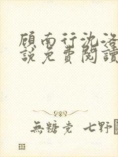 顾南行沈洛棠小说免费阅读最新章节