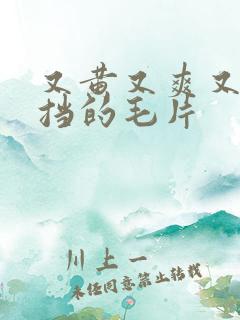 又黄又爽又不遮挡的毛片