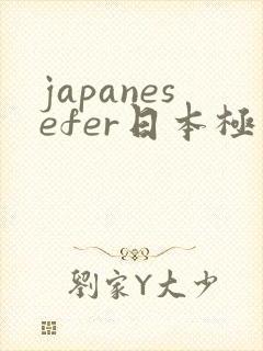 japanesefer日本极品少妇