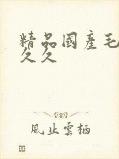 精品国产毛片久久久