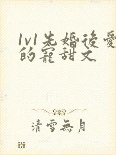 1v1先婚后爱的宠甜文