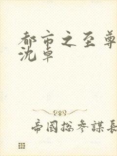 都市之至尊战神沈卓