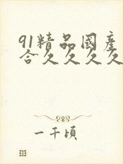 91精品国产综合久久久久蜜臀