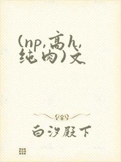 (np,高h,纯肉)文