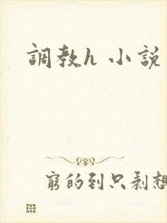 调教h 小说