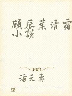 顾辰叶清霜玄幻小说