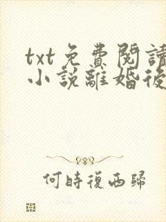 txt免费阅读小说离婚后前夫总是想追我